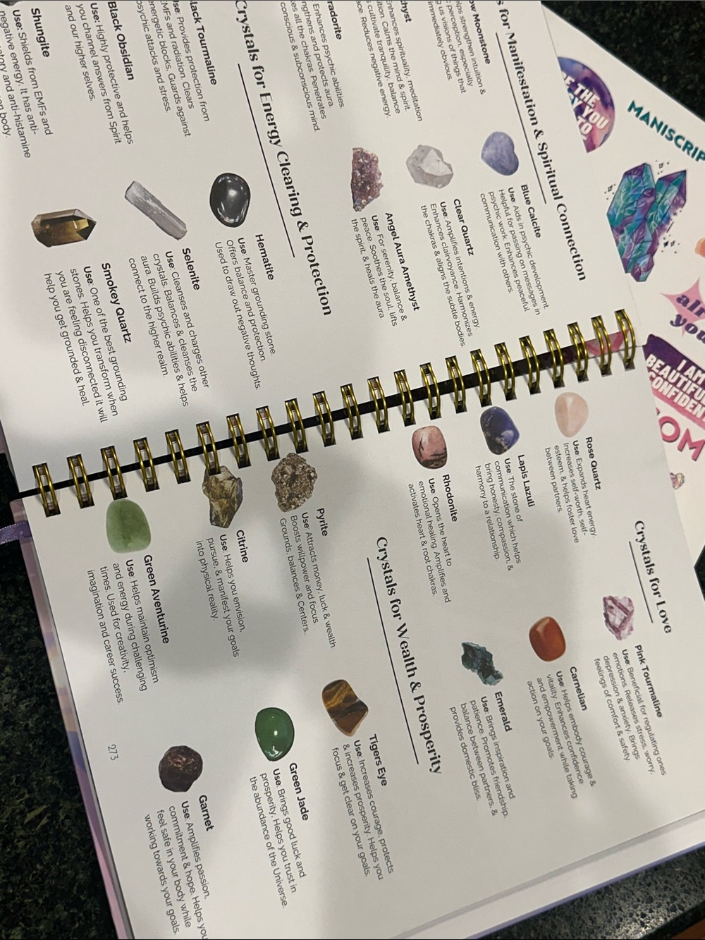 The Maniscripting Journal Life Design & Ritual Guidebook manifesting wealth gift - Picture 7 of 14